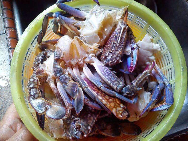 Bersihkan Ketam