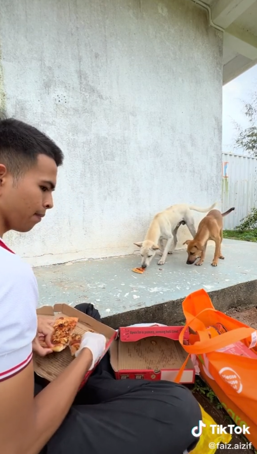 belanja anjing makan pizza