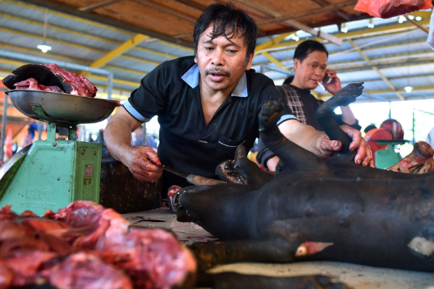 makan daging anjing