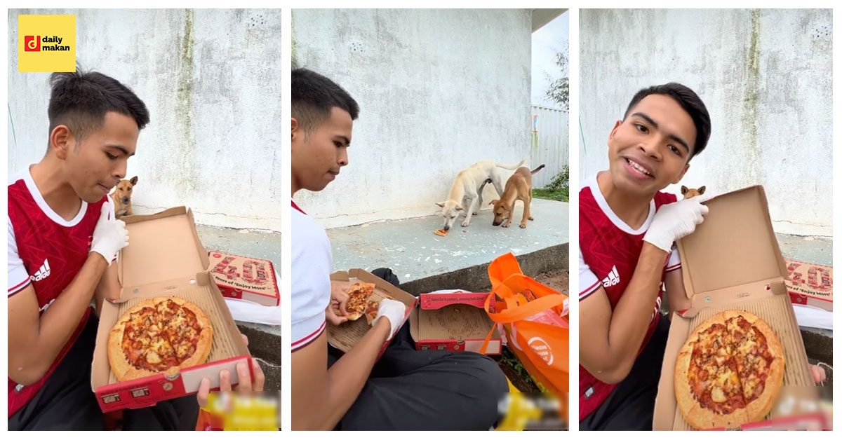 belanja anjing makan pizza