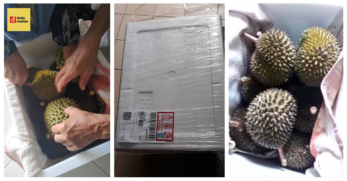 cara pos buah durian