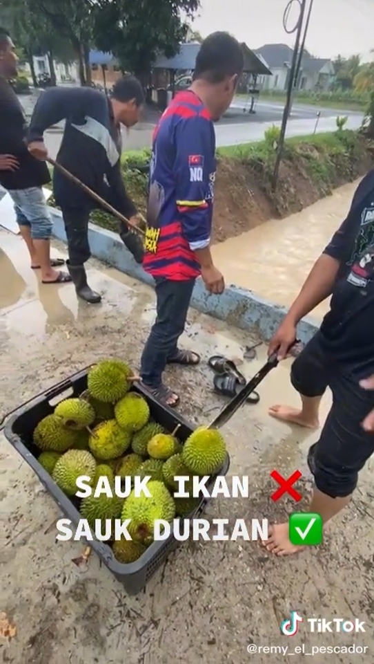 orang kampung sauk durian