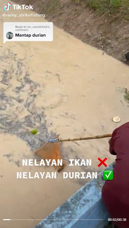 orang kampung sauk durian