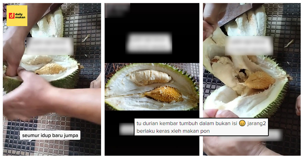 isi durian berduri