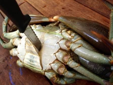 Bersihkan Ketam