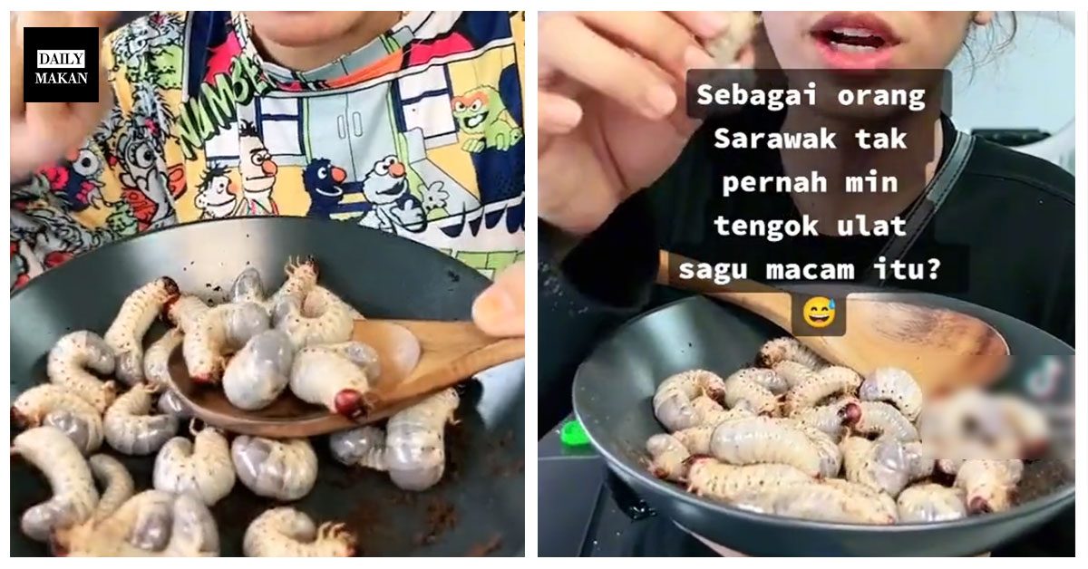 salah fakta makan ulat sagu