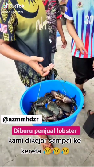 LOBSTER RM300