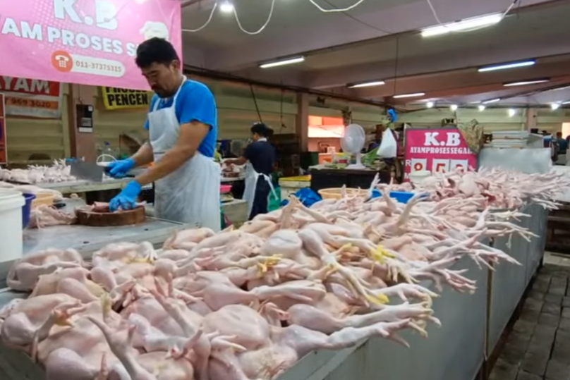 harga siling ayam