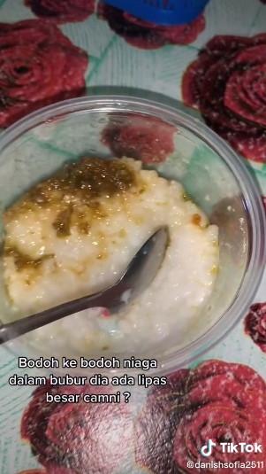 LIPAS DALAM BUBUR NASI