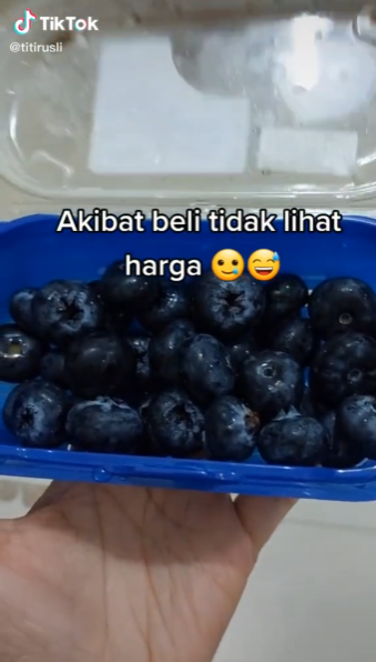 buah blueberry