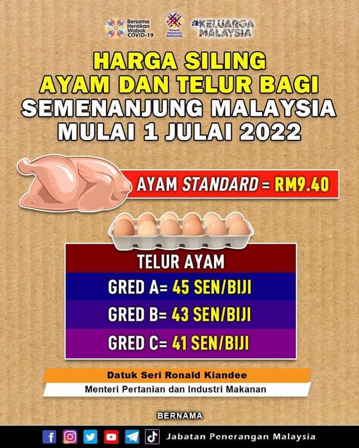 harga siling ayam