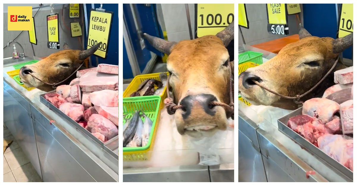 harga kepala lembu