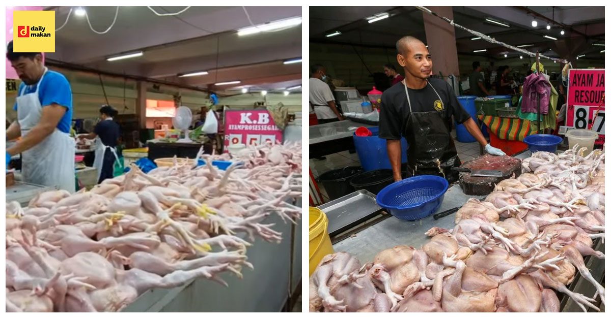 harga siling ayam