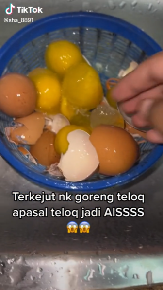 Telur Ayam Jadi Ais