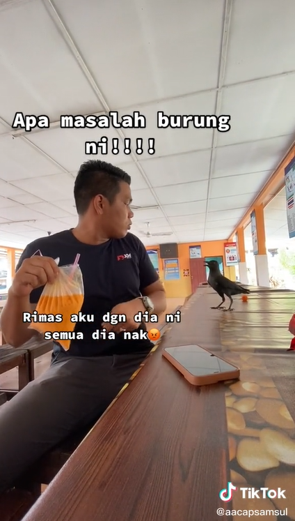 Kena Ganggu Dengan Burung Gagak