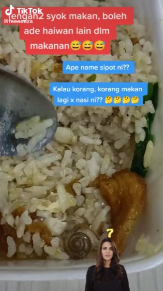 Jumpa Siput Bulat Dalam Nasi Goreng