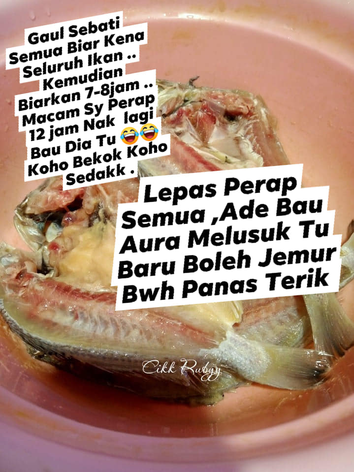 ikan gelama bekok