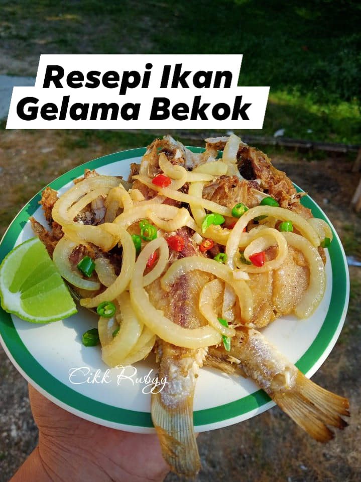 ikan gelama bekok