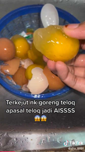 Telur Ayam Jadi Ais