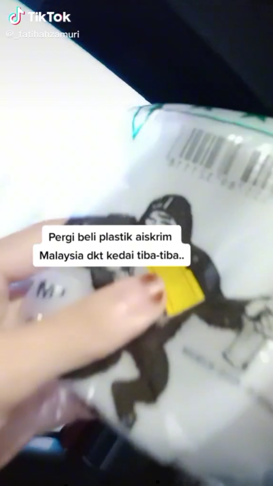 beli plastik aiskrim