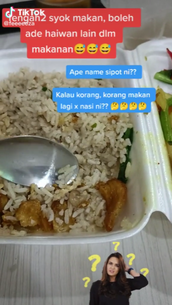 Jumpa Siput Bulat Dalam Nasi Goreng