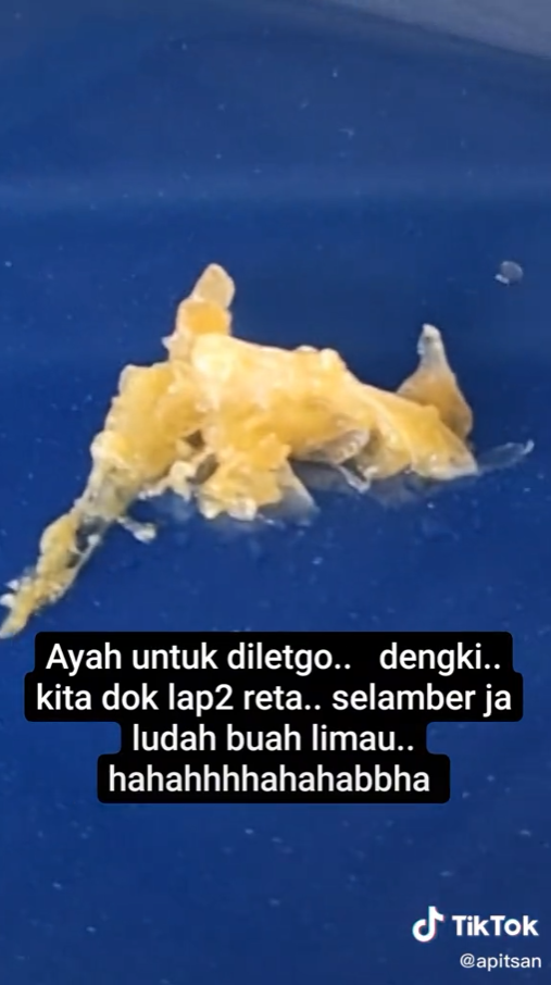 Selamba Bergurau Dengan Ayah