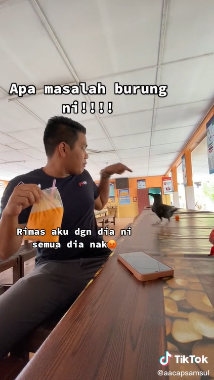 Kena Ganggu Dengan Burung Gagak