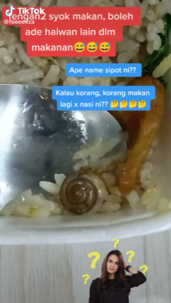 Jumpa Siput Bulat Dalam Nasi Goreng