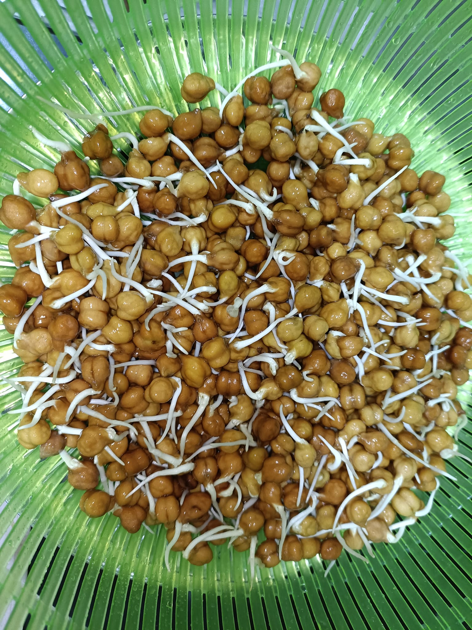 Salad Black Chana