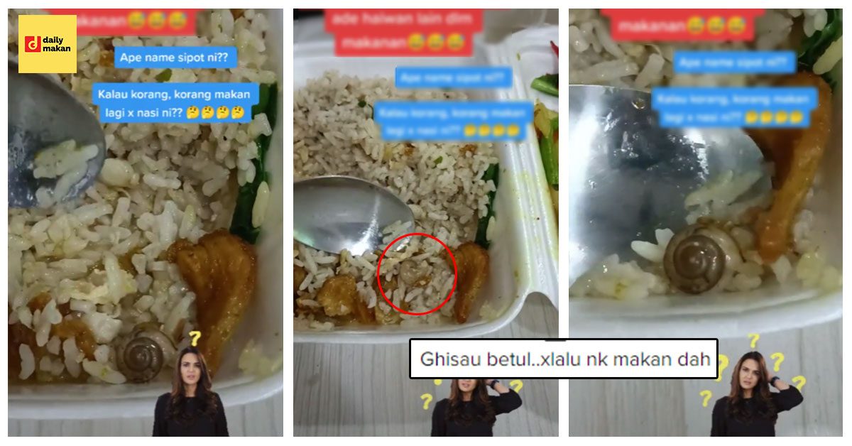 Jumpa Siput Bulat Dalam Nasi Goreng