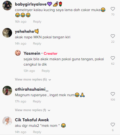 Asyik Kena Usik