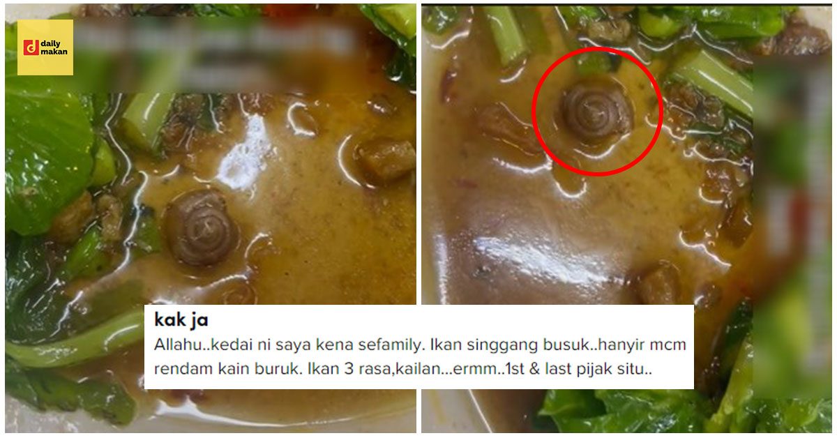 kedai makan hidang siput bulat