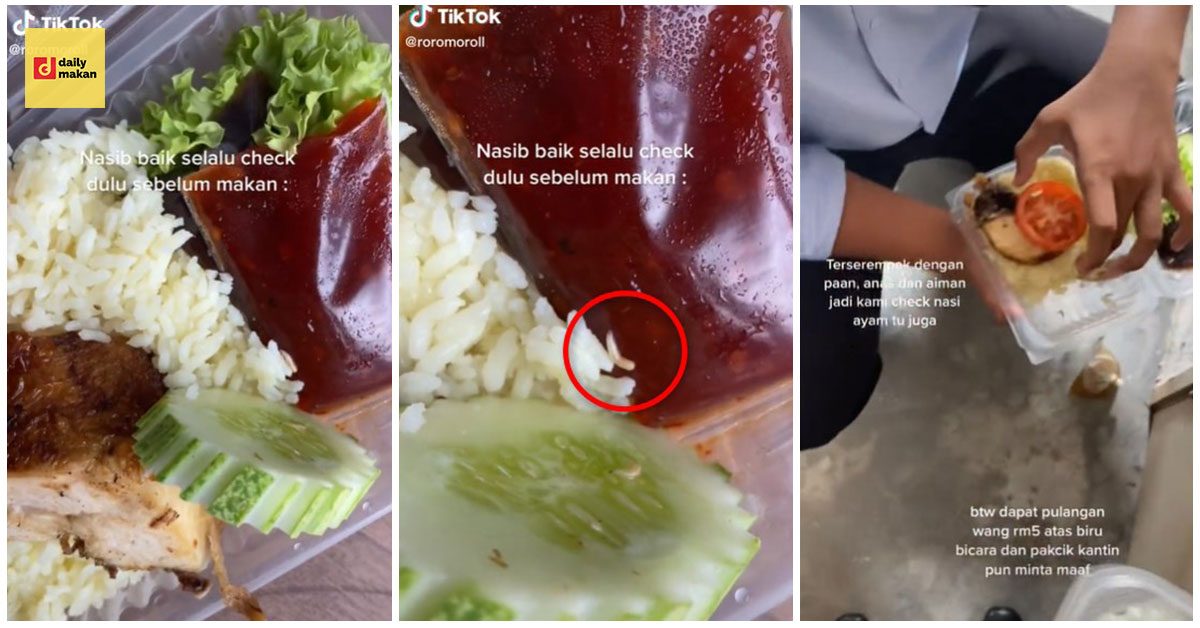 temui ulat dalam nasi ayam