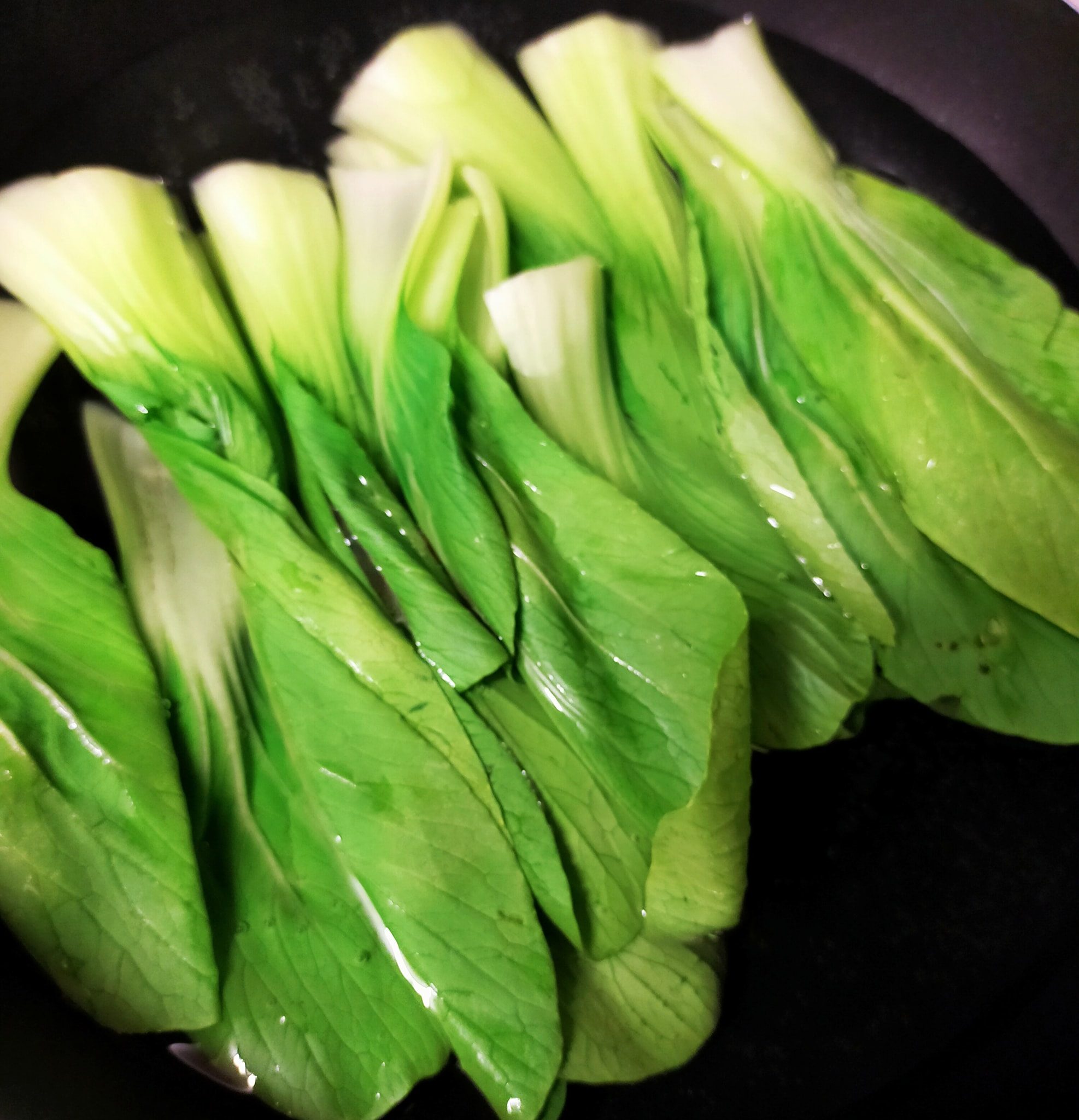 bok choy sos tiram