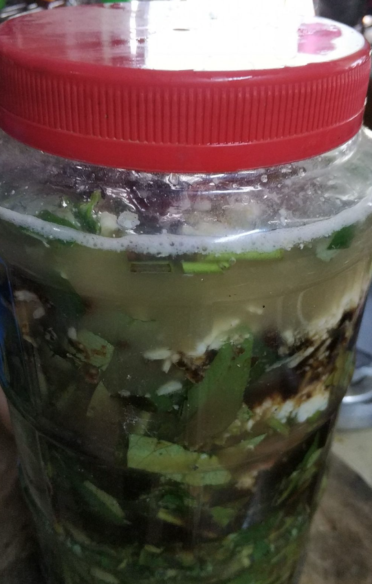 baja organik guna kangkung