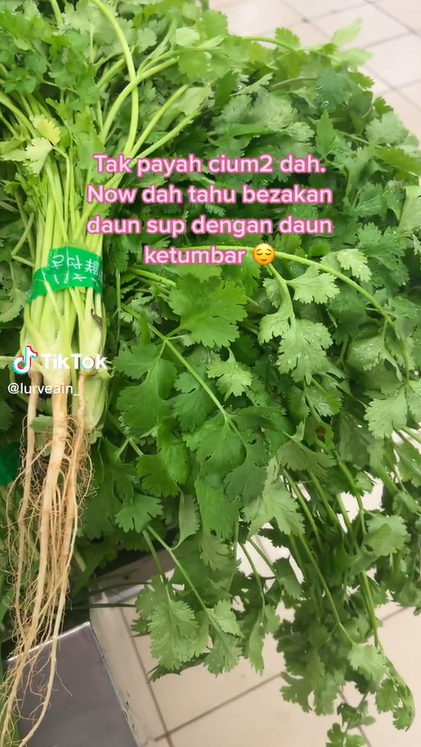 Beza Daun Sup Dengan Daun Ketumbar