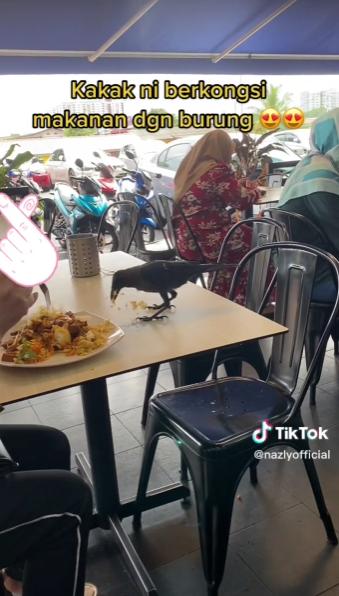 Kongsi Nasi Kandar Dengan Burung Gagak