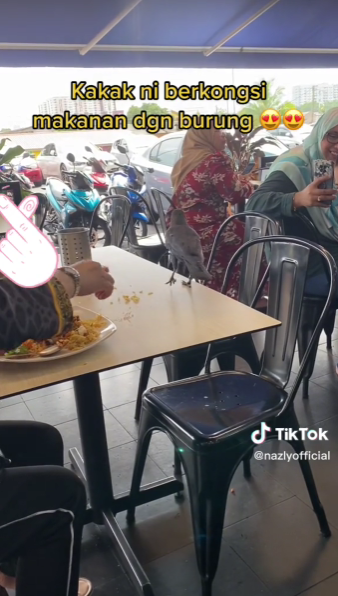 Kongsi Nasi Kandar Dengan Burung Gagak