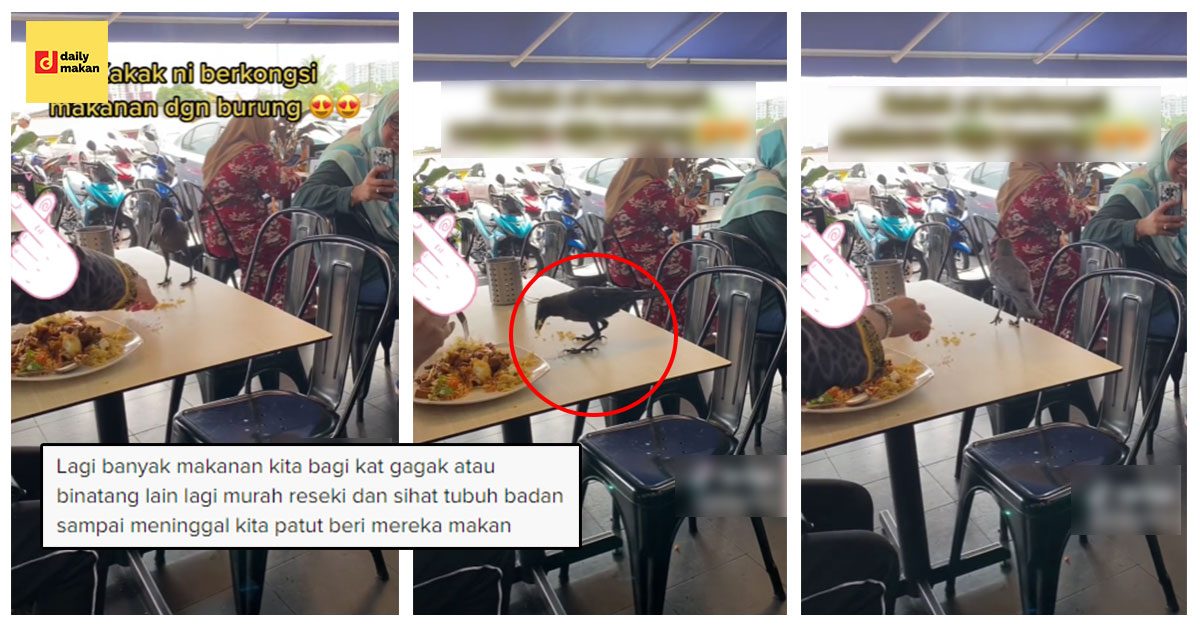 Kongsi Nasi Kandar Dengan Burung Gagak