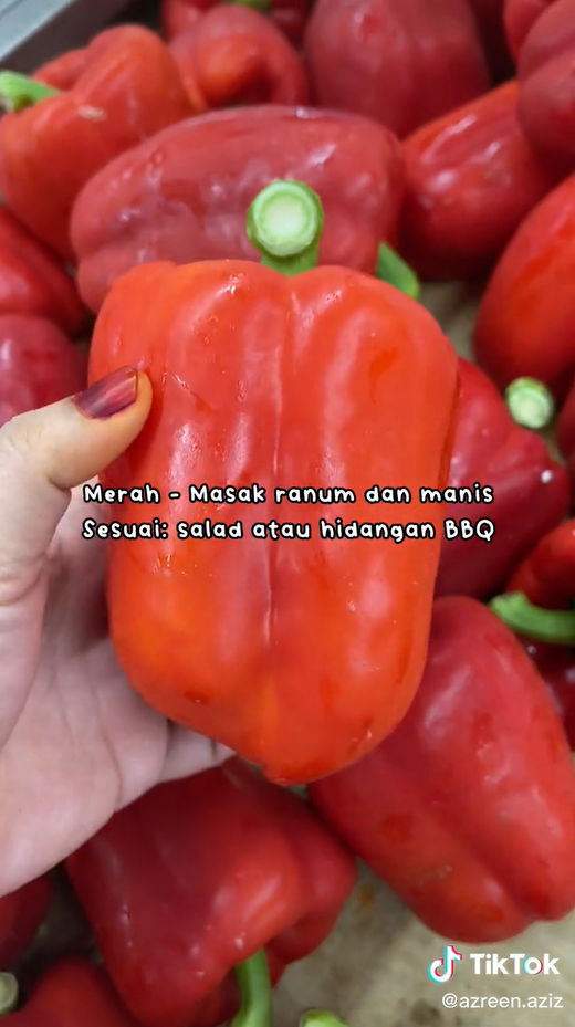 lada capsicum