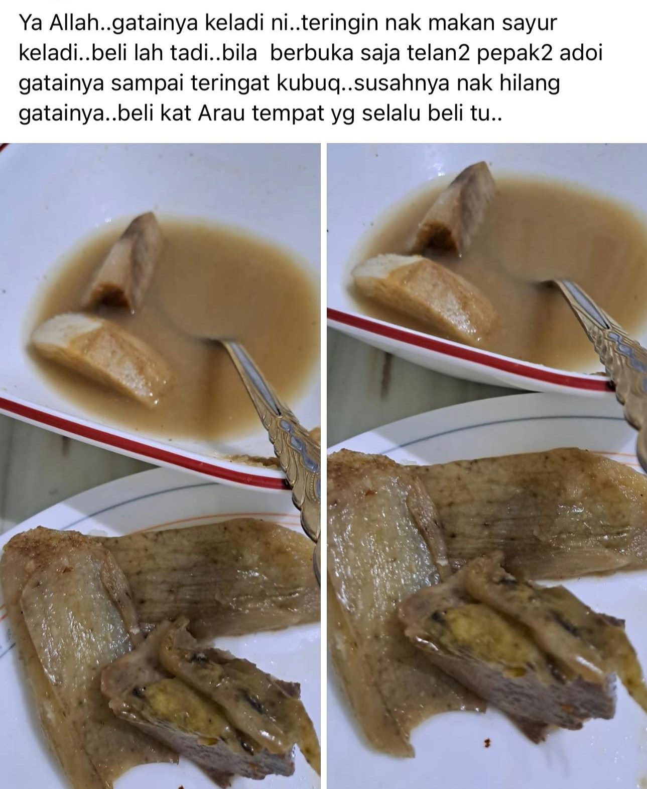 masak sayur keladi