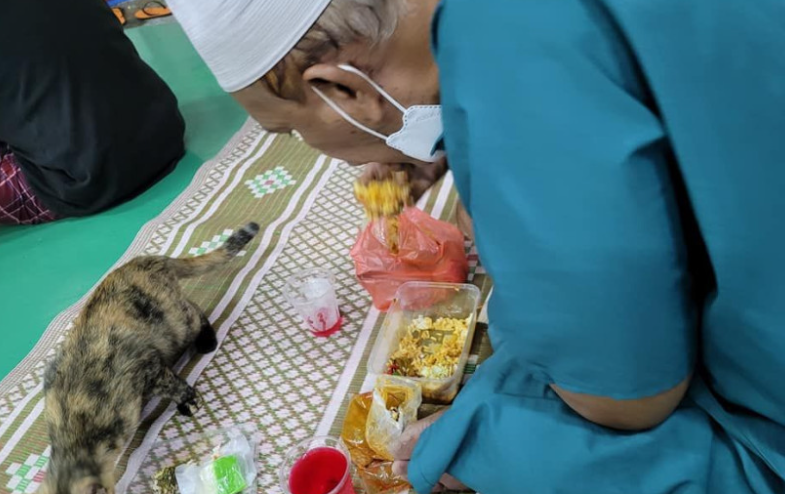 lauk berbuka kepada kucing