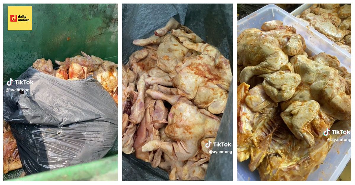 peniaga buang 100 ekor ayam