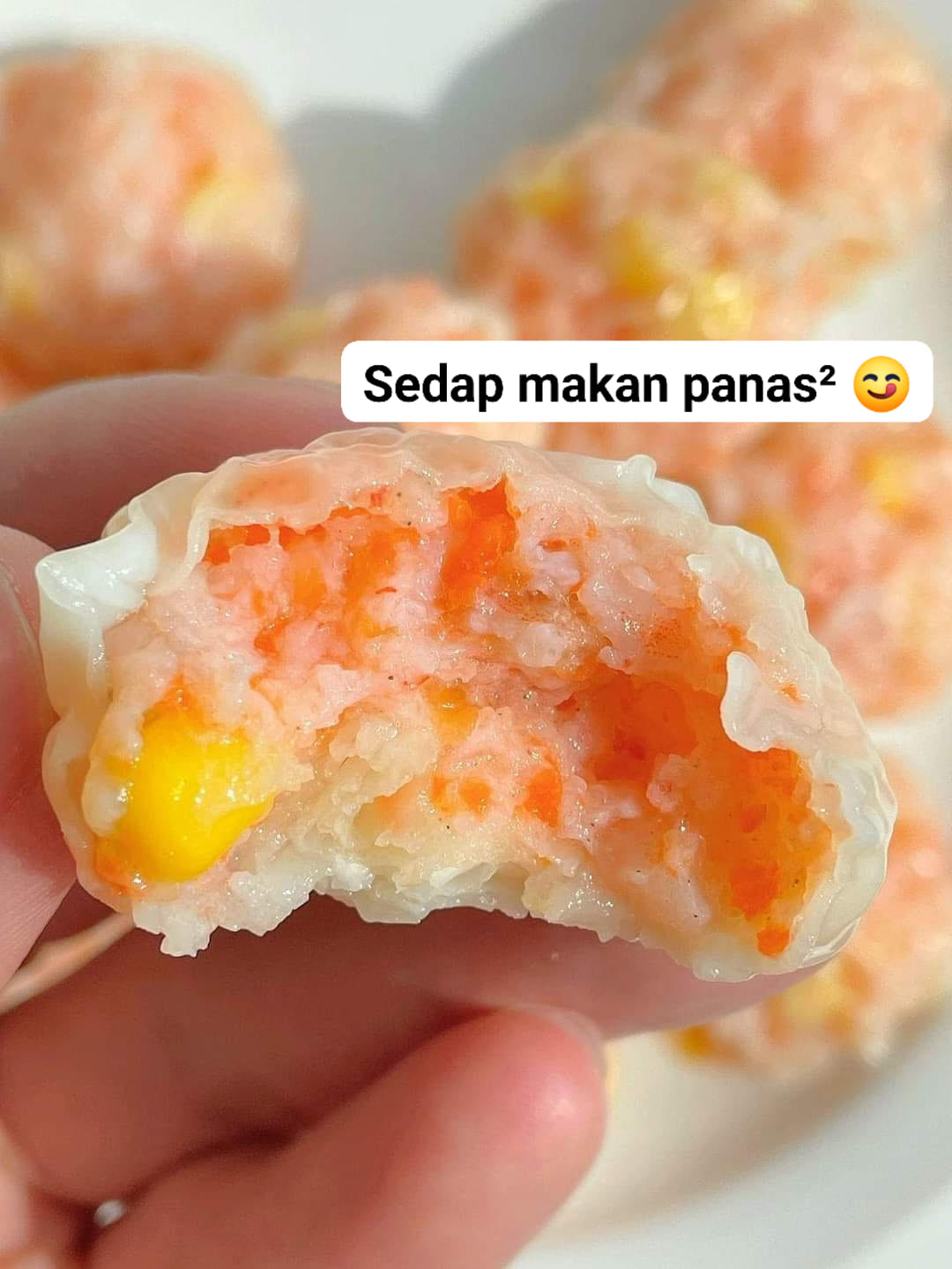 dumpling udang