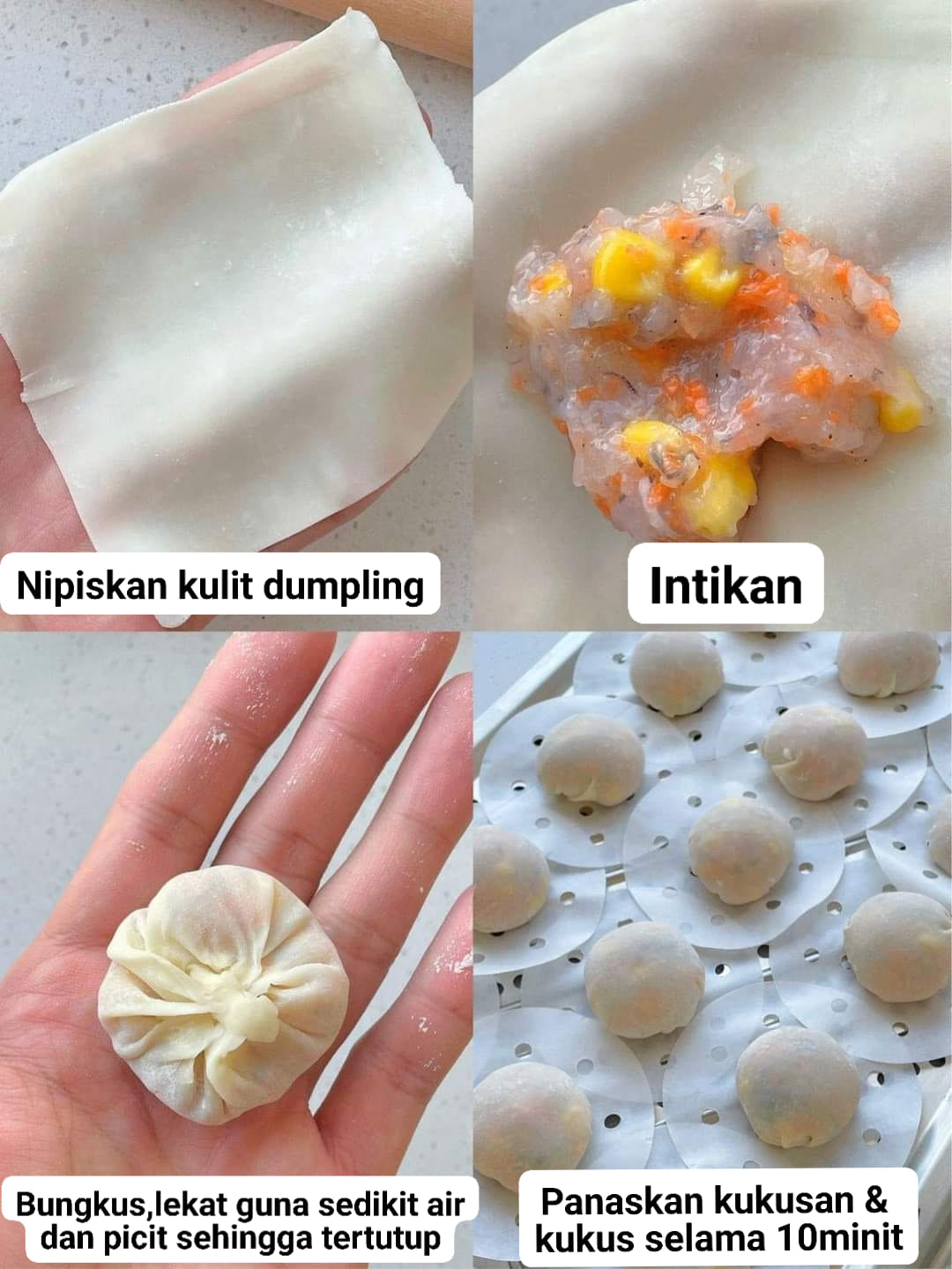 dumpling udang