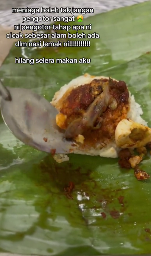 cicak dalam nasi lemak