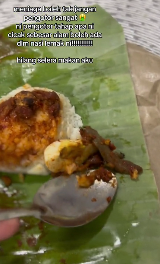 cicak dalam nasi lemak