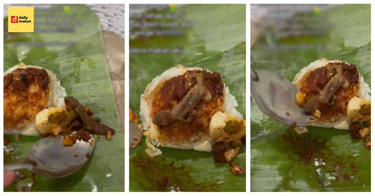 cicak dalam nasi lemak