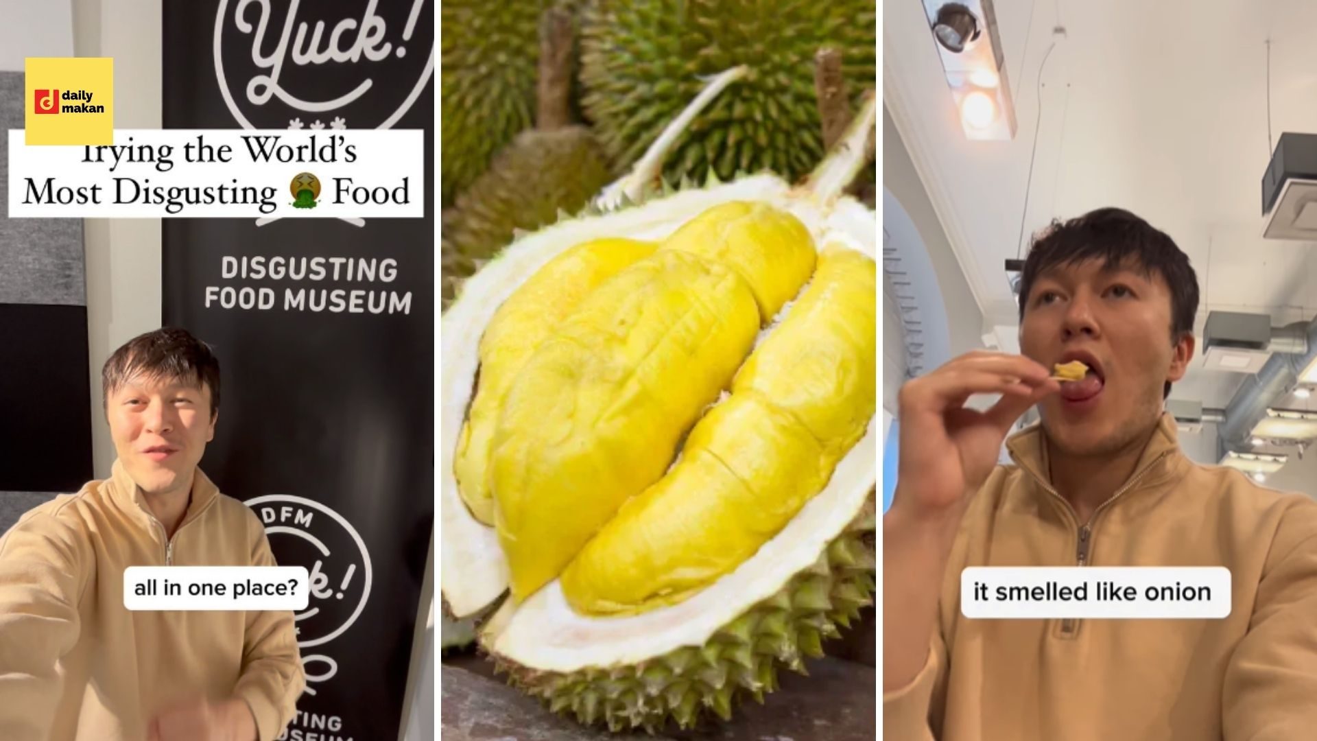 disgusting food museum durian