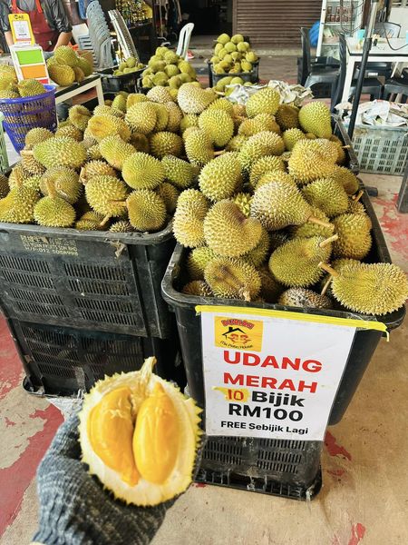 peniaga durian